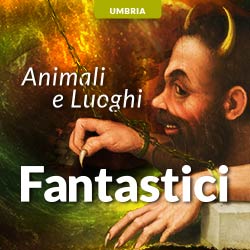 Animali fantastici nei musei italiani