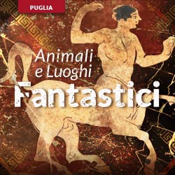 Animali fantastici nei musei italiani - Puglia