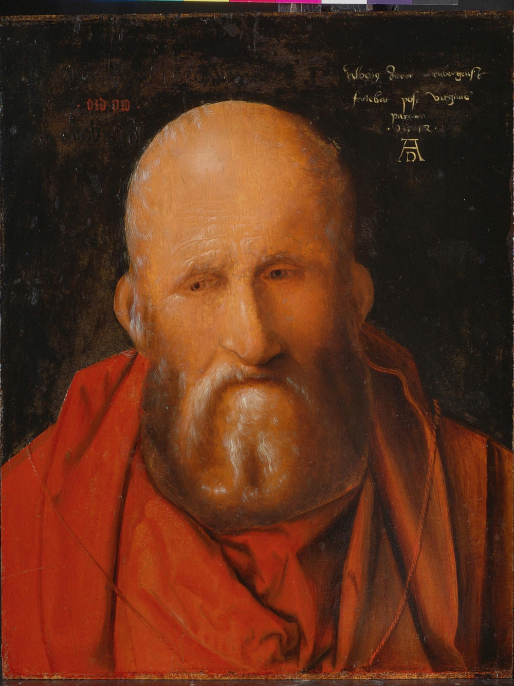 Albrecht Dürer, San Girolamo (1514; olio su tavola, 33,2 x 25,6 cm; Siena, Collezione Piccolomini Spannocchi) 