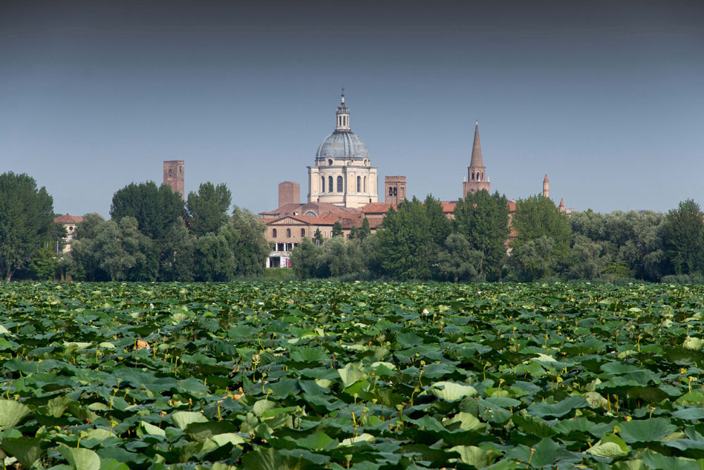 Mantova ospita il primo Forum Mondiale sulle Foreste Urbane