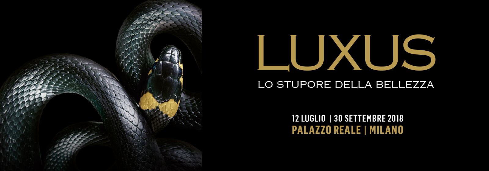 Luxus, lo stupore della bellezza: a Milano il lusso è protagonista