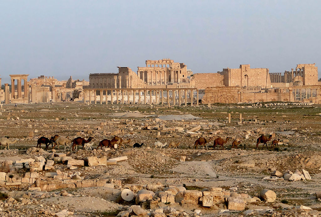 Palmira potrebbe riaprire ai turisti nell'estate del 2019