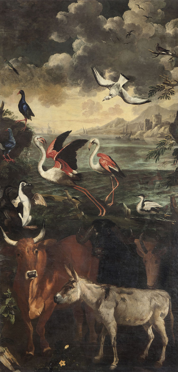 Il Meraviglioso Mondo Della Natura Tra Arte E Scienza In Mostra A Palazzo Reale Di Milano