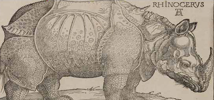 Una grande mostra presenta per la prima volta la collezione completa Remondini delle opere grafiche di Dürer