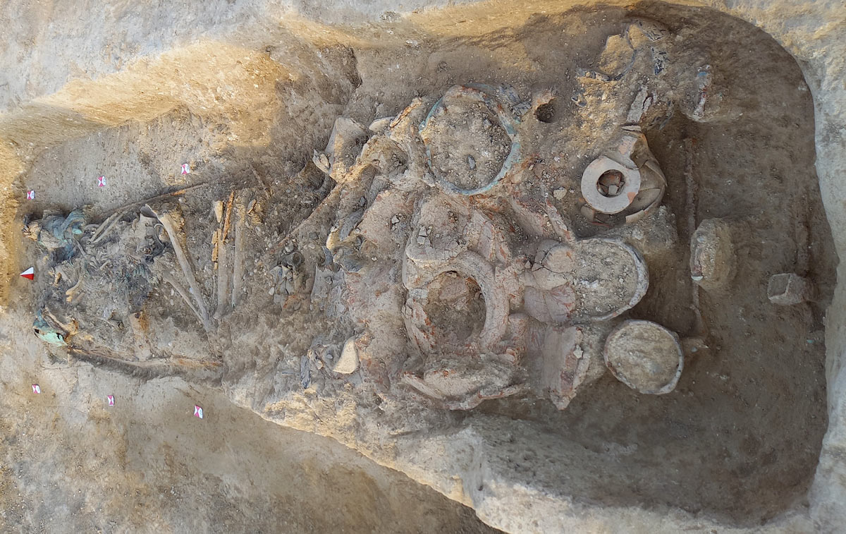 Major archaeological discovery in the Marche: warrior from the Picenian age found