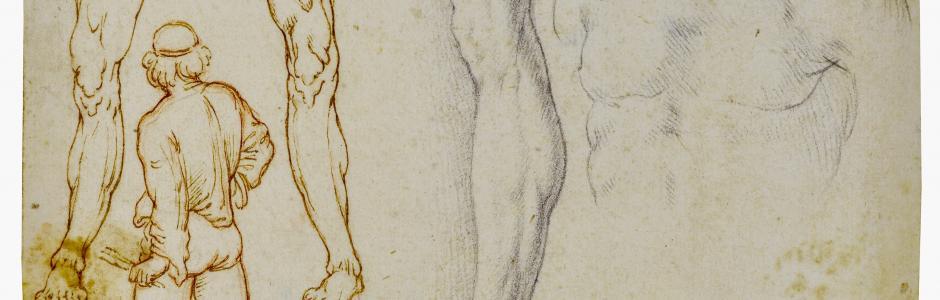 Milano, un inedito studio per un Salvator Mundi di Leonardo è in mostra al Castello Sforzesco