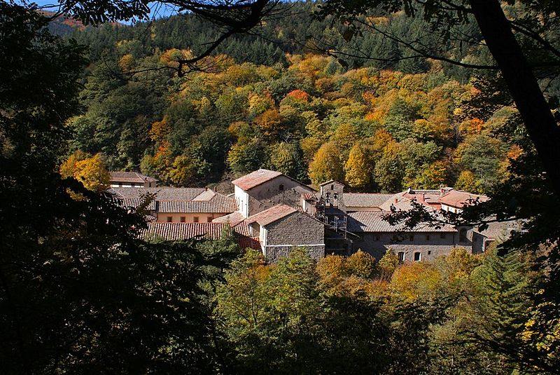 A trek through art, nature and foliage in the Casentino Forests towards Camaldoli