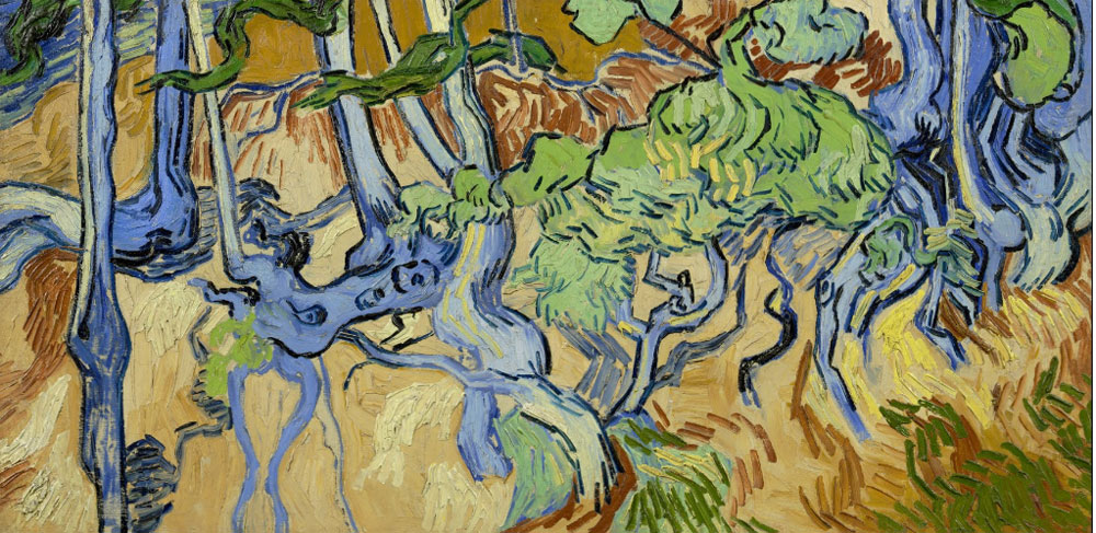 Ecco dove Van Gogh dipinse il suo ultimo quadro prima di morire