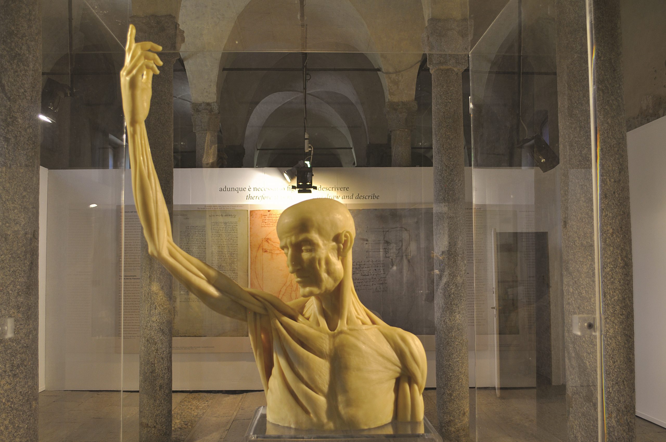 Milano, la Biblioteca Ambrosiana mette a confronto Leonardo da Vinci e Guido da Vigevano e le loro anatomie in figure