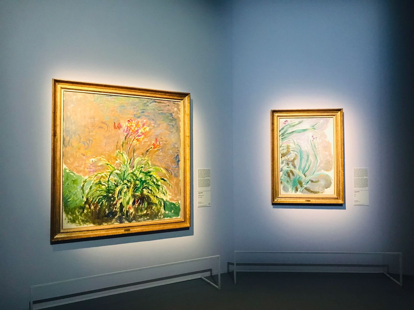 Sala della mostra Monet a Milano, Palazzo Reale
