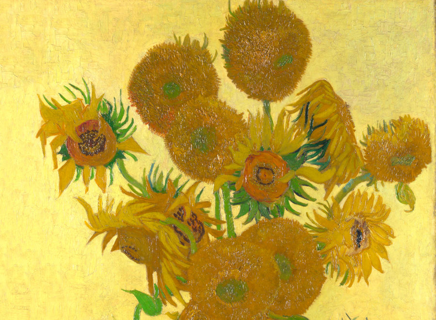 Arte in tv dal 16 al 22 maggio: i girasoli di Van Gogh, Gauguin e Frida Kahlo