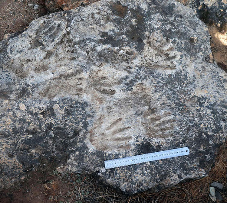 Tibet, 200,000-year-old footprints discovered: possibly the world's oldest rock artwork