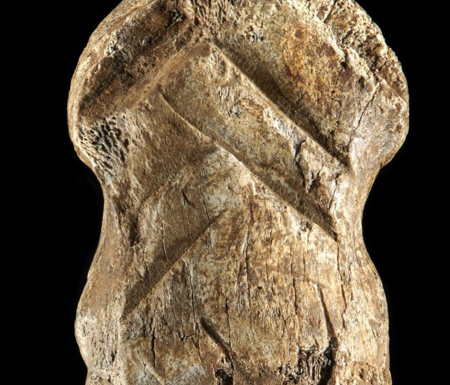 L'uomo di Neanderthal aveva abilità artistiche: lo rivela un osso inciso di 51000 anni fa