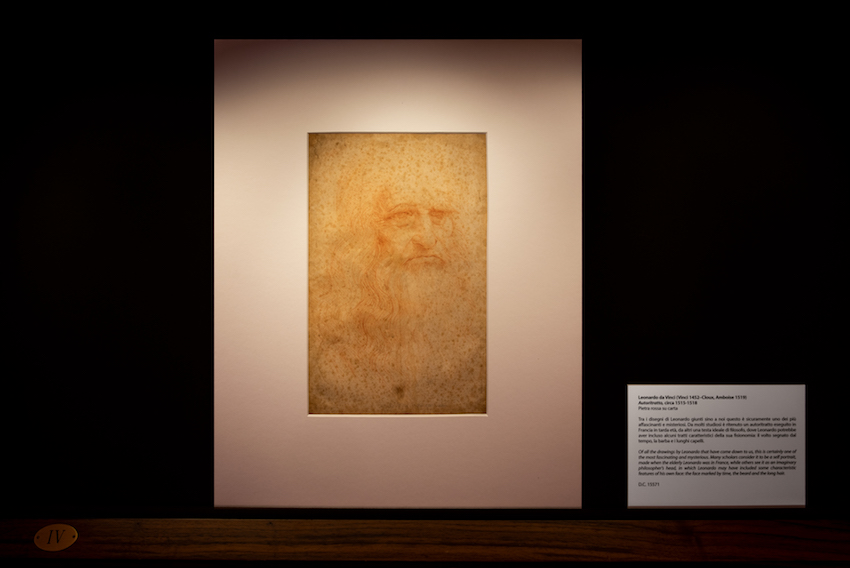 A tu per tu con Leonardo da Vinci: a Torino in mostra i disegni del genio