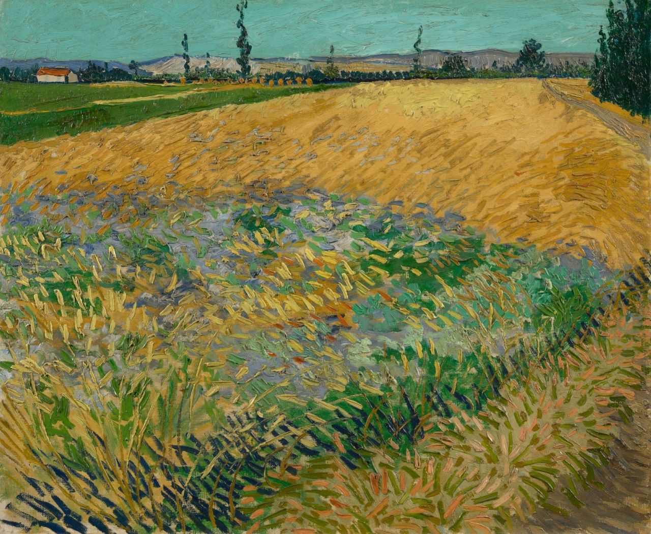 Il Van Gogh Museum lancerà una linea di profumi ispirati al grande artista
