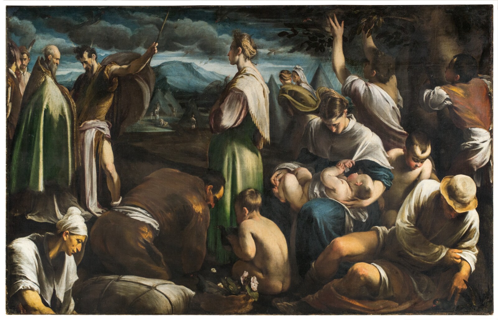 Jacopo Bassano, Il miracolo delle quaglie (1554; olio su tela, 150 x 235 cm; Los Angeles, Getty Museum) 