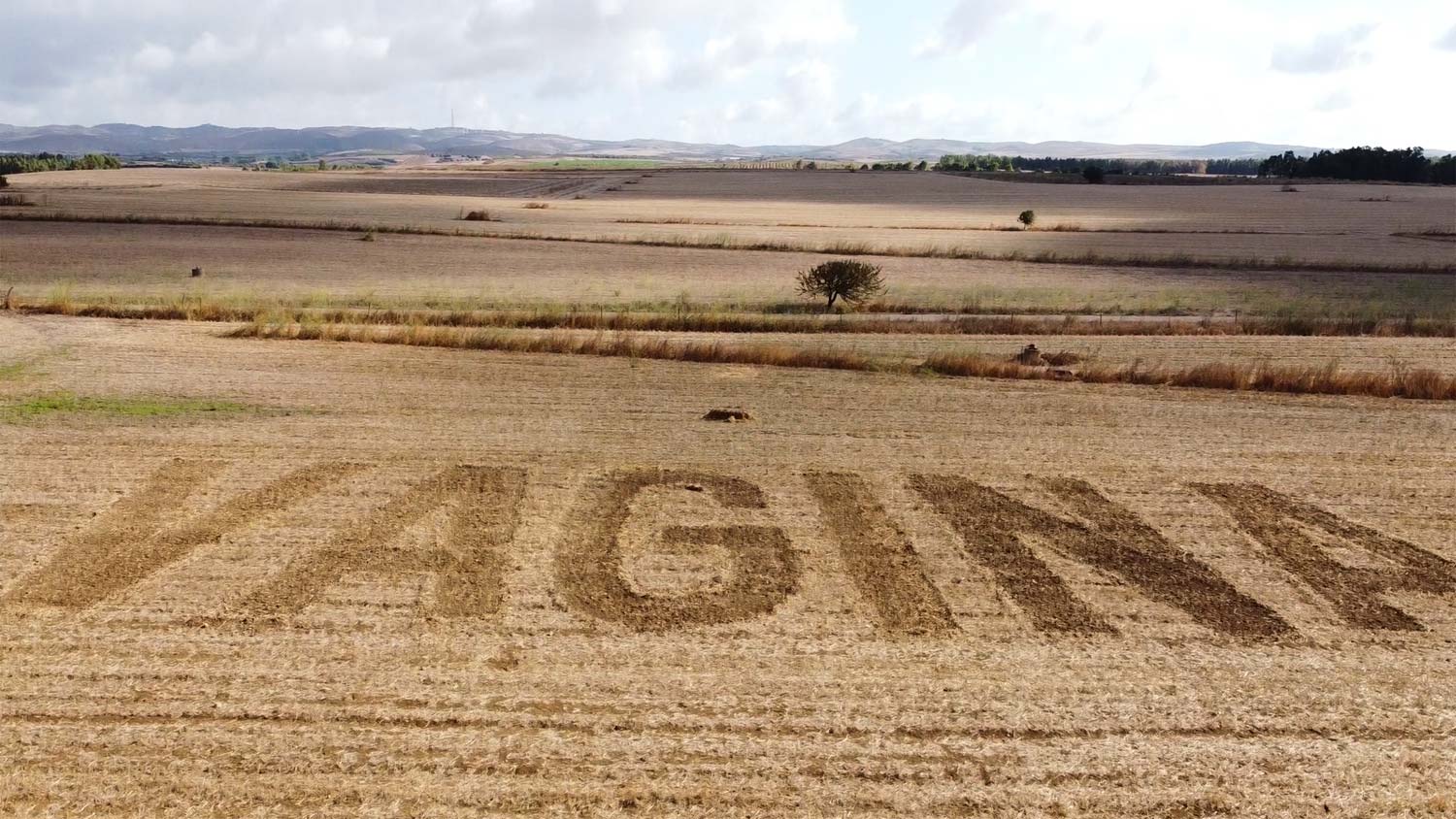 Sardegna, artista crea enorme scritta VAGINA in un campo