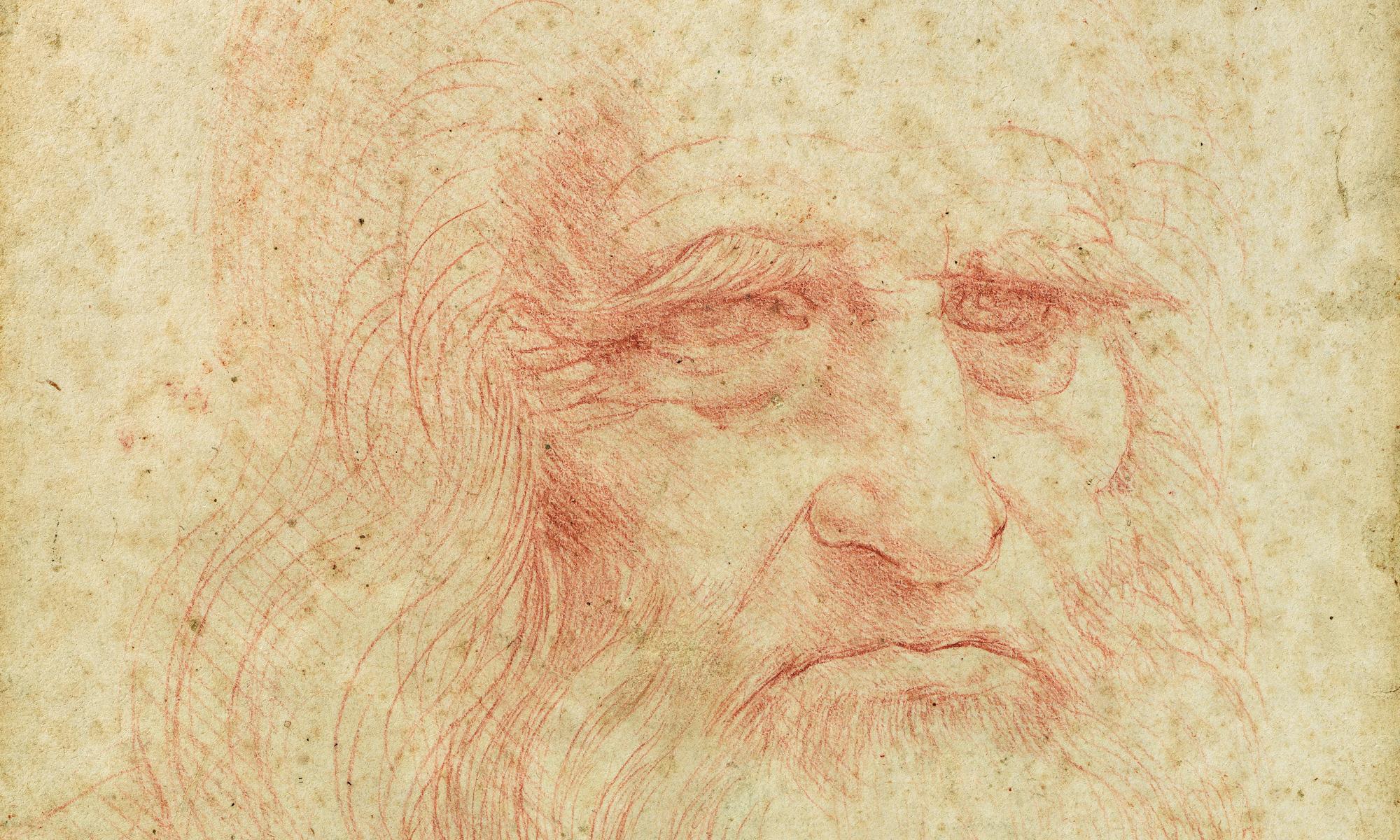 Torino, torna visibile al pubblico l'Autoritratto di Leonardo della Biblioteca Reale 